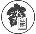 Rótulos Disponíveis