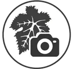 Ícone de Enoturismo